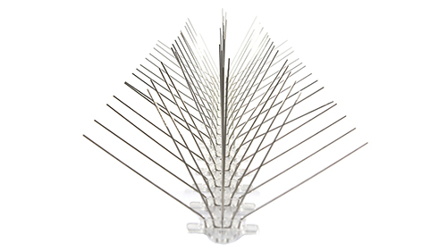 What is bird spike?
