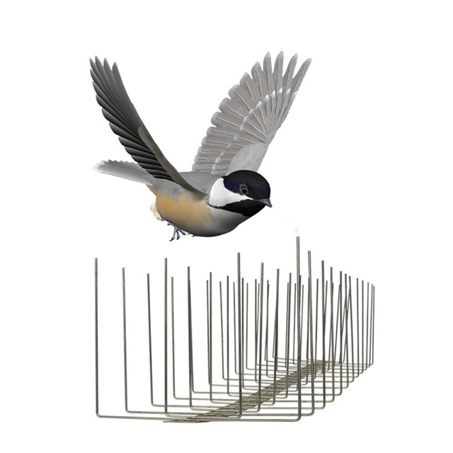 SHSS-16: Pest Bird Control Equipment Stainless Steel Wall Spikes